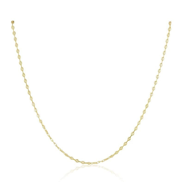 16" Taylor Dainty Chain Necklace - Jaffi's