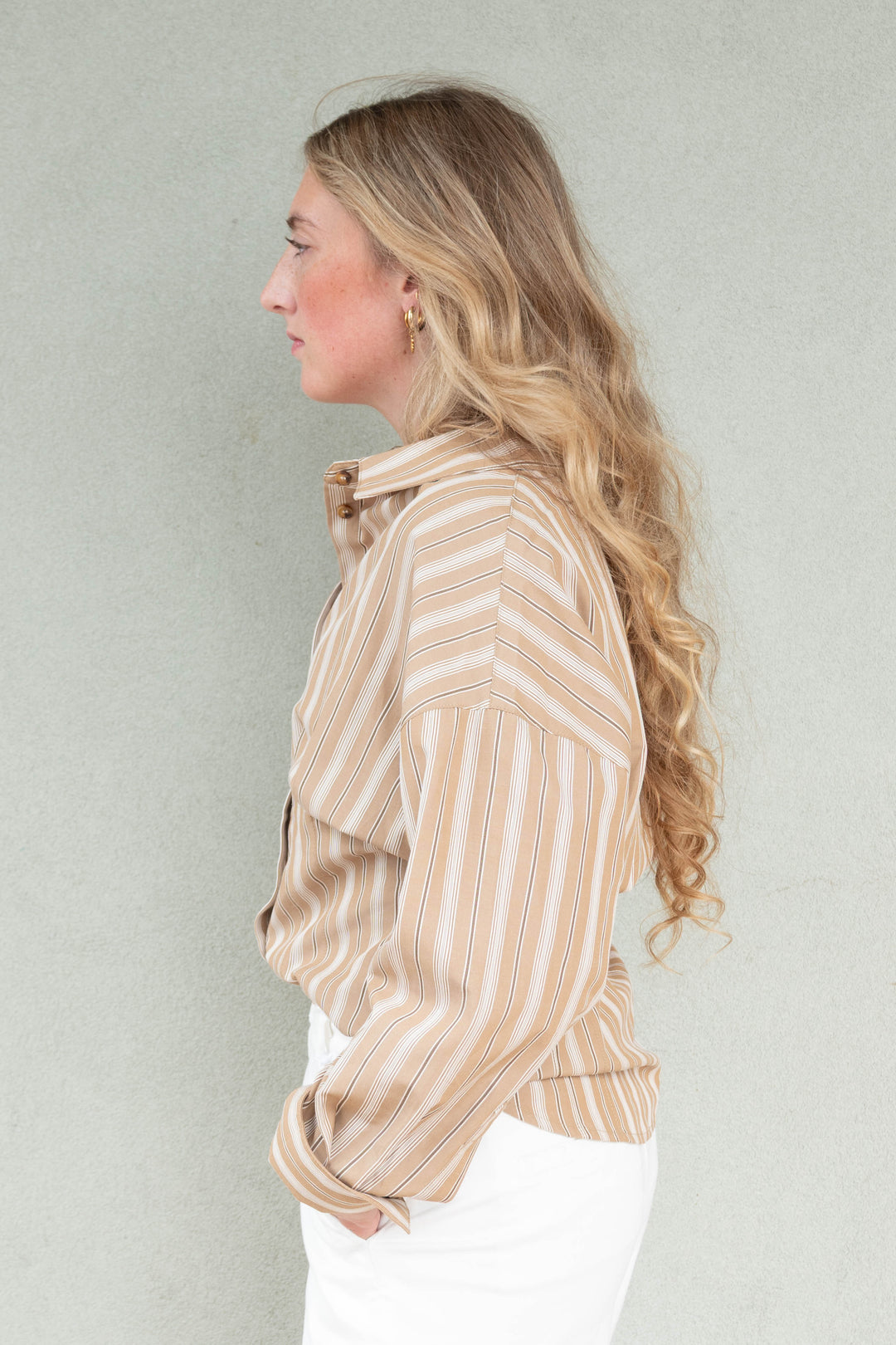 Slim Fit Button Down Blouse - Tan Stripe