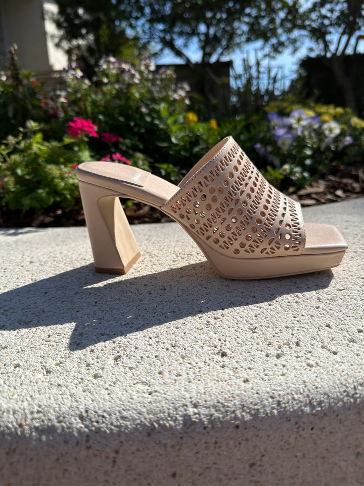 Caviar Laser Platform Mule