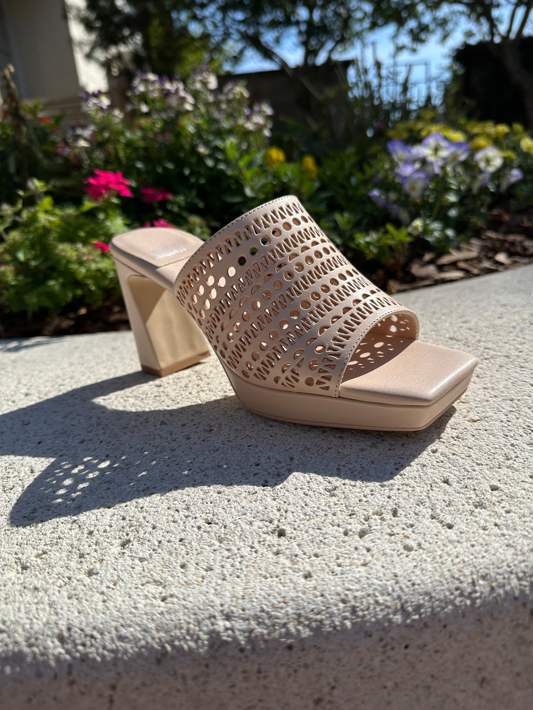 Caviar Laser Platform Mule