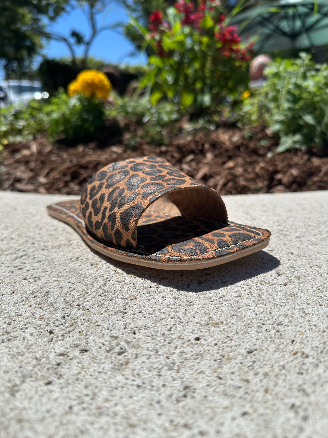 Bali Slide - Tan Leopard