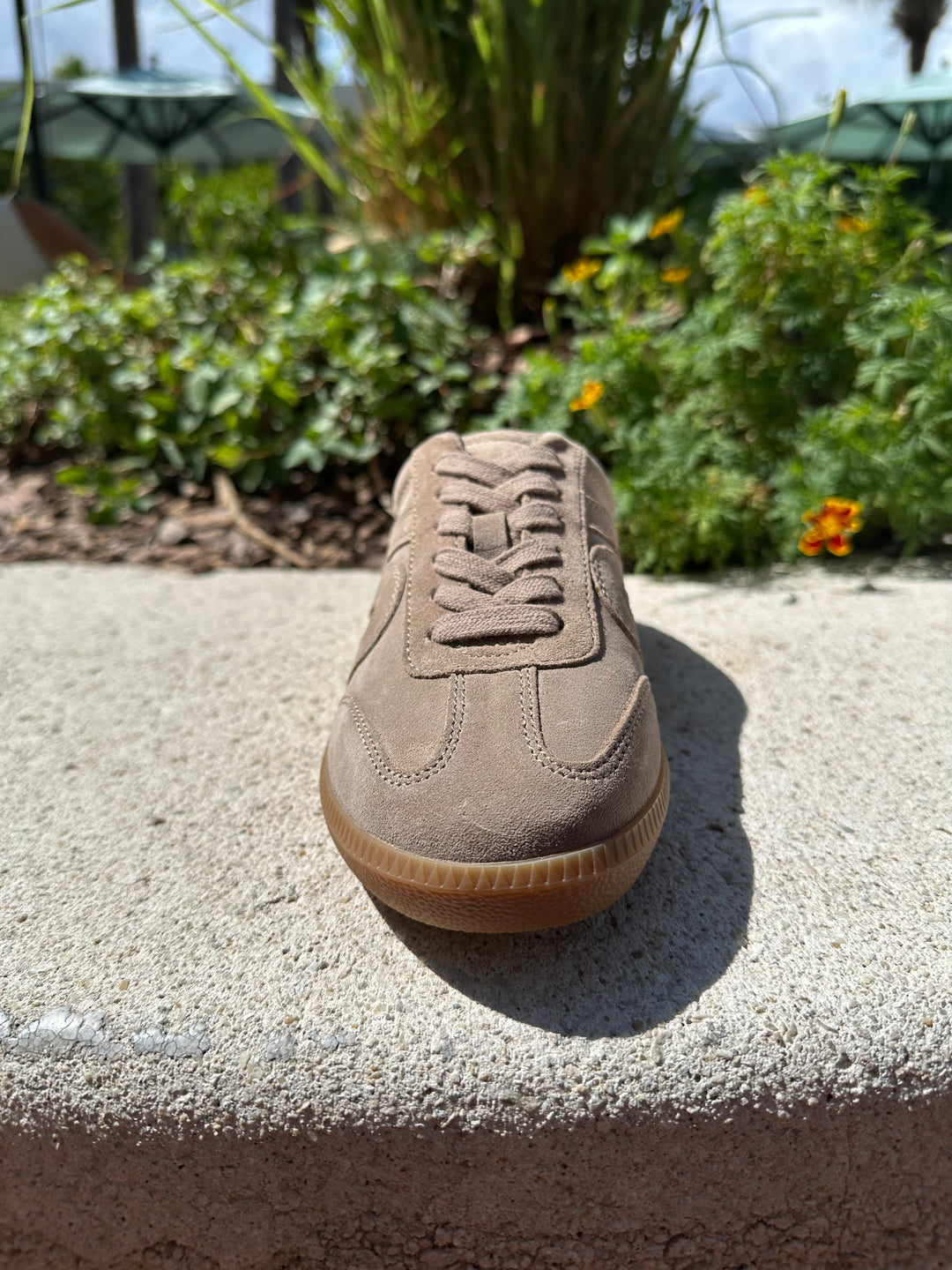 Up-Front Sneaker - Taupe Distressed Suede
