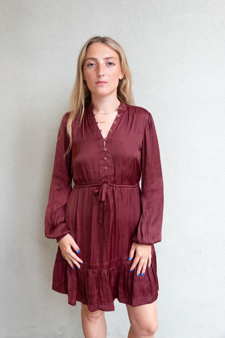 Arcadia Long Sleeve Dress - Wine - Jaffi&