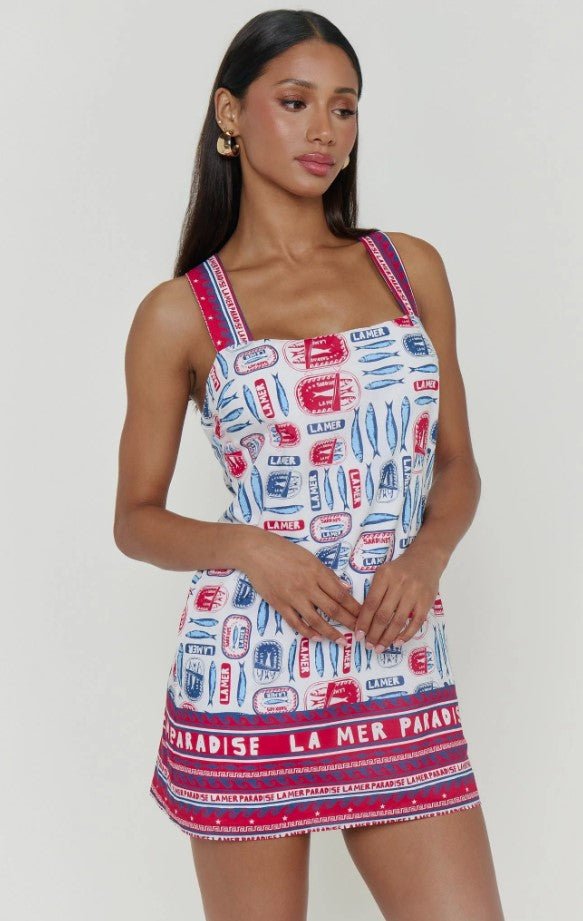 Detour Mini Dress - Sardine Boarder - Jaffi's