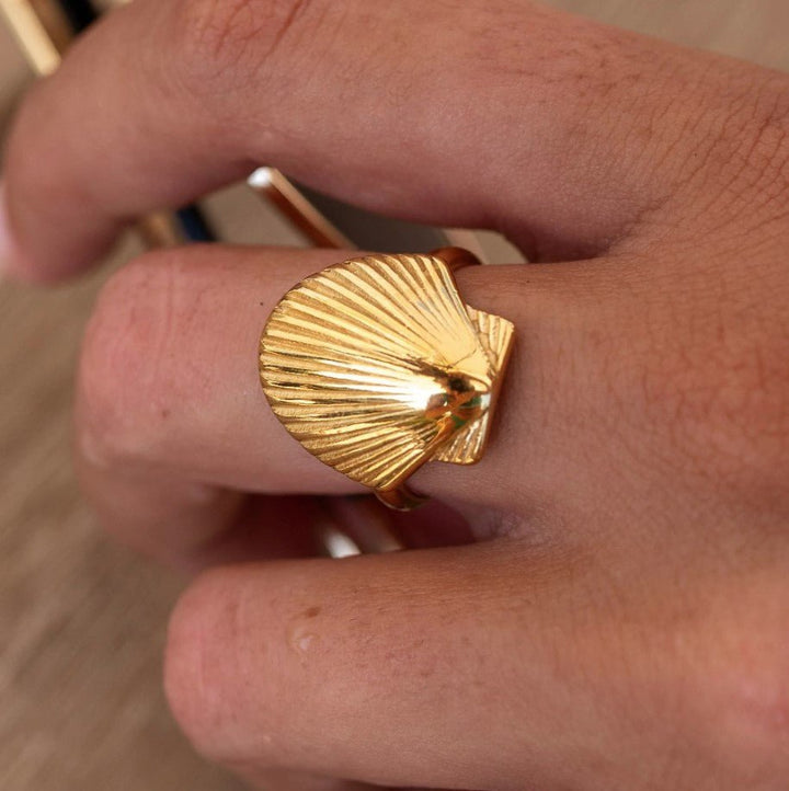 Gold Marella Seashell Ring - Jaffi's