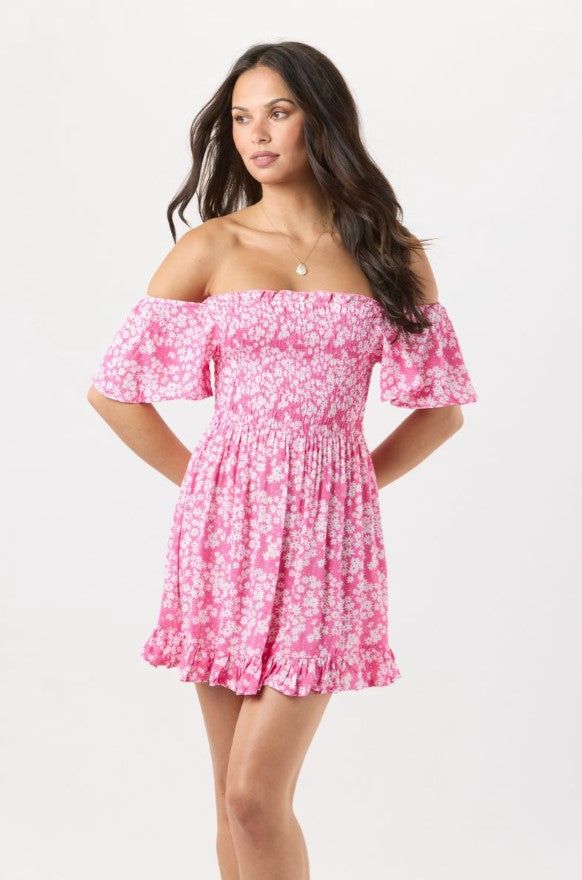 Hendrix Mini Dress - Scattered Daisy Raspberry