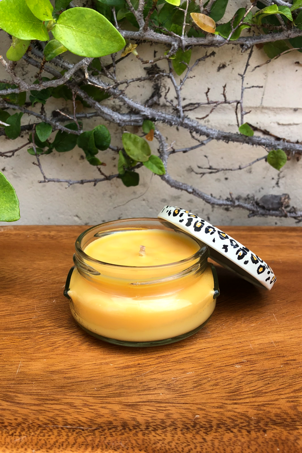 Tyler Candles - Mango Tango Tyler Candle Co.