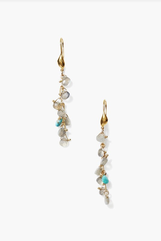 Labradorite Mix Dangle Earring