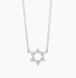 
                  
                    Load image into Gallery viewer, Star of David Necklace Ella Stein
                  
                
