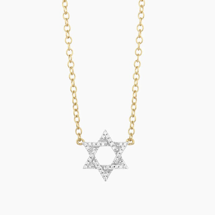 
                  
                    Load image into Gallery viewer, Star of David Necklace Ella Stein
                  
                