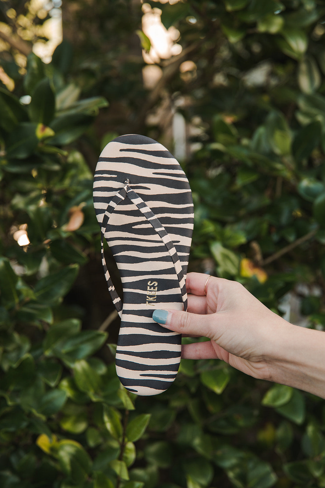 Studio Exotic Flip Flop - Zebra TKEES